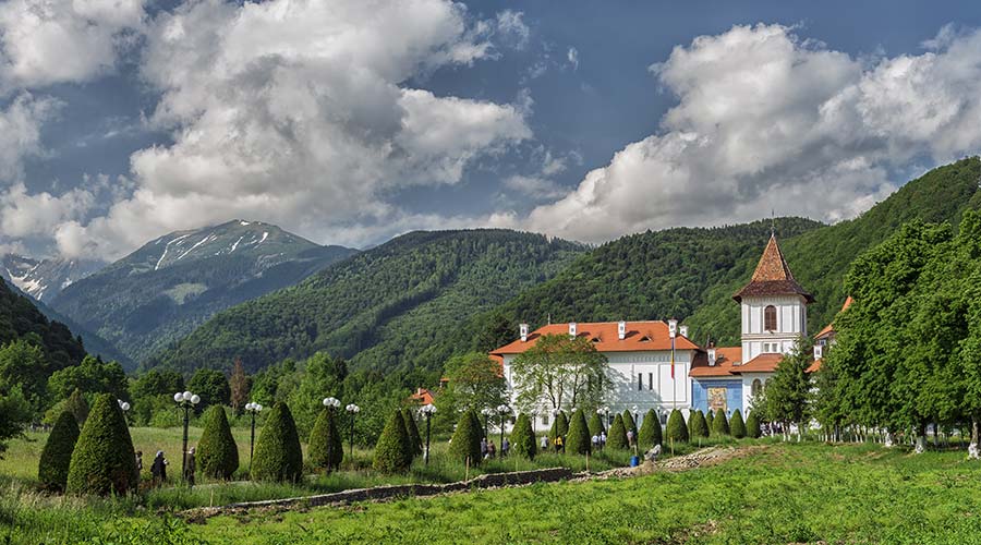 organiceuropeanfestival