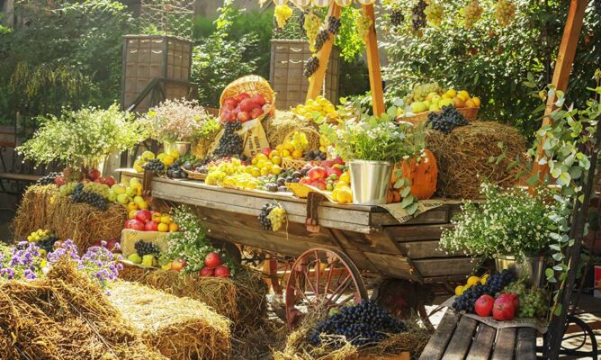 organiceuropeanfestival